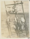 Image of Birds in rigging of Bowdoin in winter quarters- Bowdoin Harbor